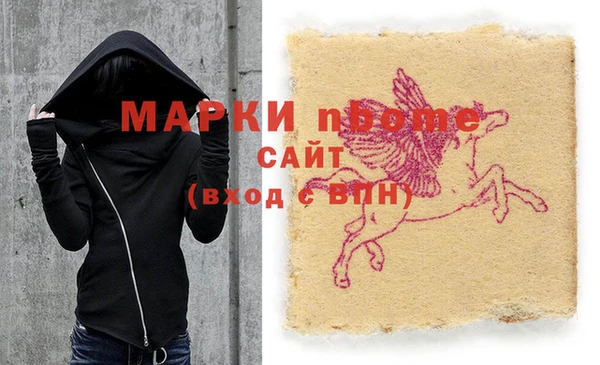 прущий лед Алзамай