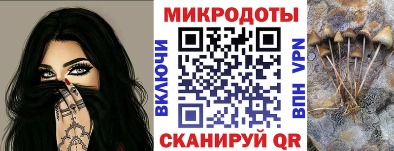 Псилоцибиновые грибы Cubensis  Томари 