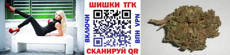 купить   Томари  Канабис Amnesia 